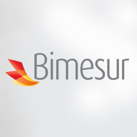 logo-bimesur