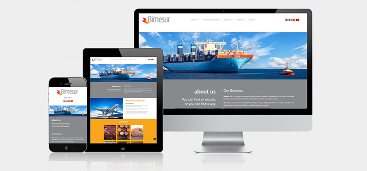 web-bimesur